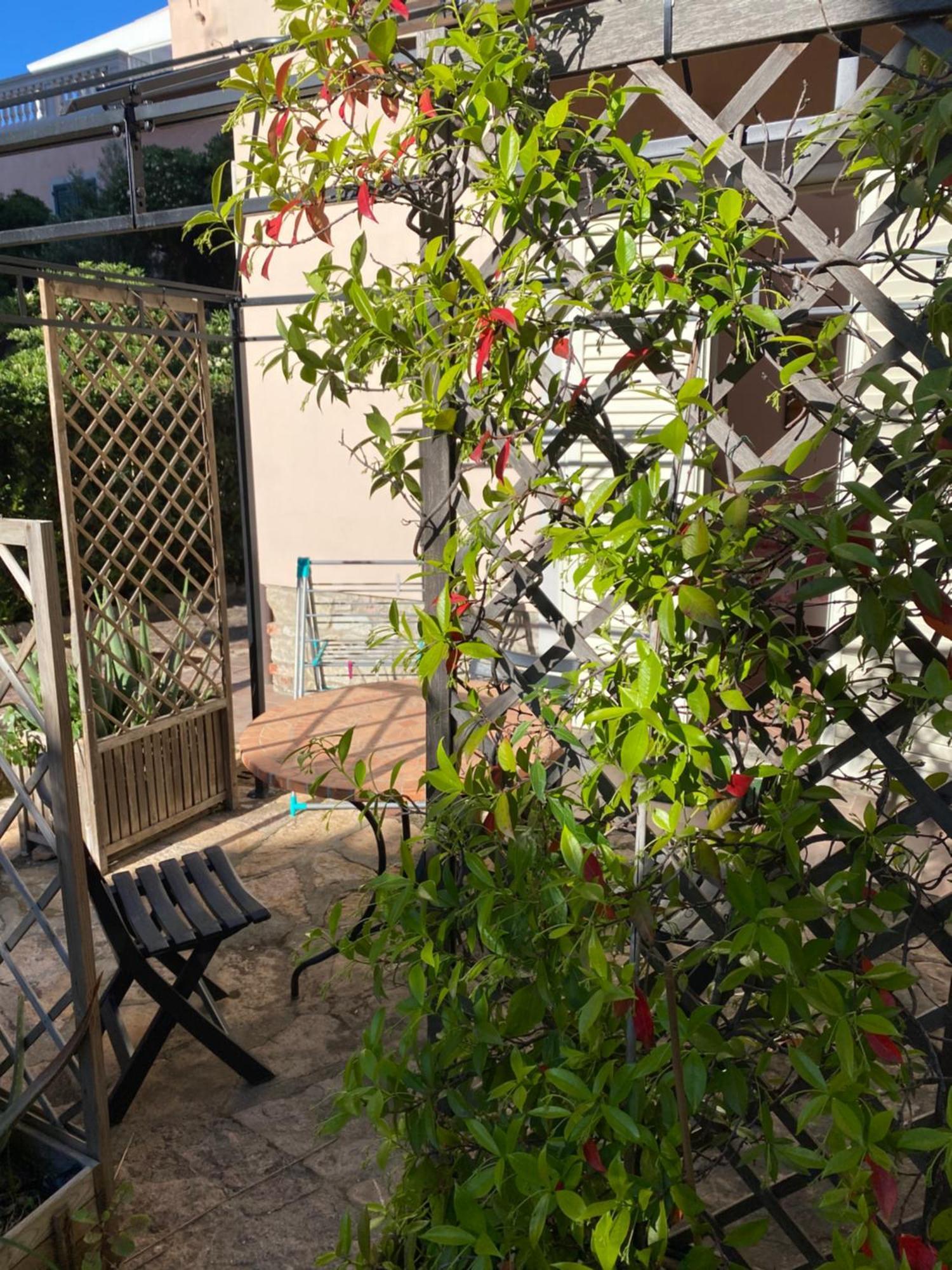 Villa Il Boschetto San Vincenzo Exterior foto